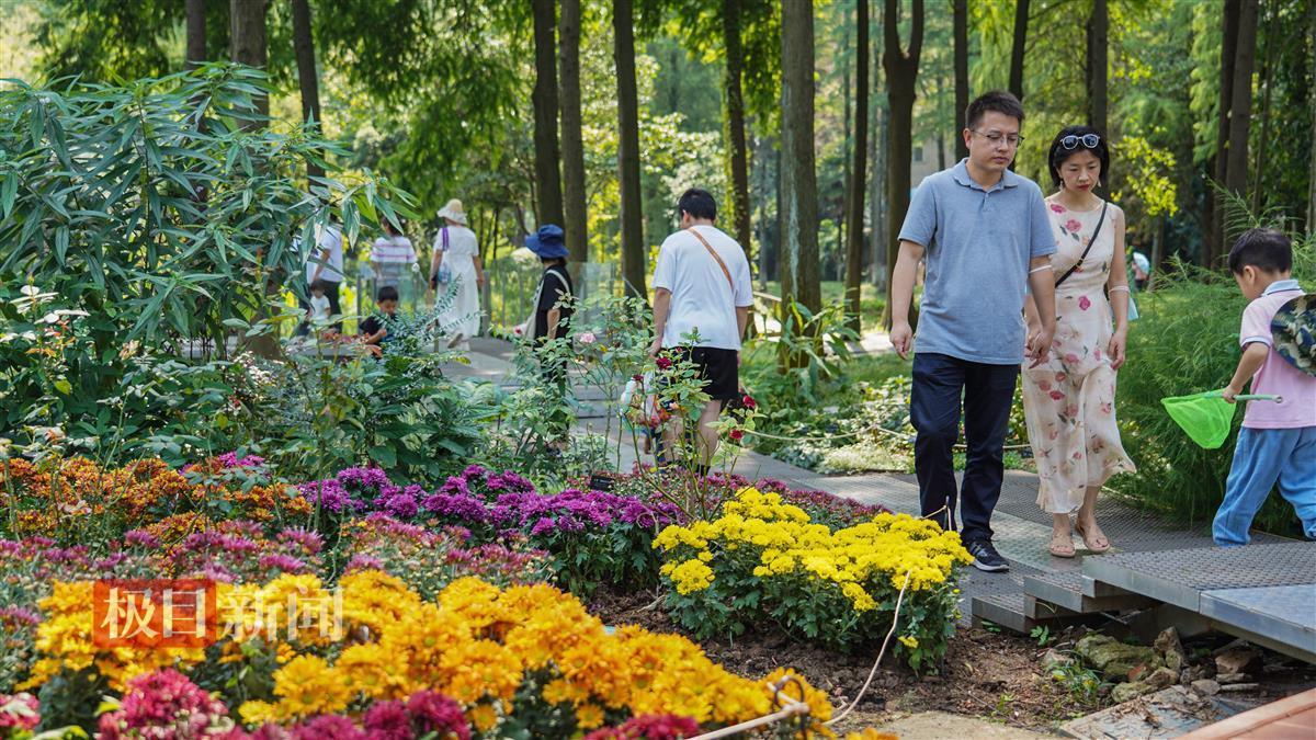 新博现金游戏